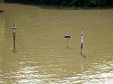 Hochwasser (234)